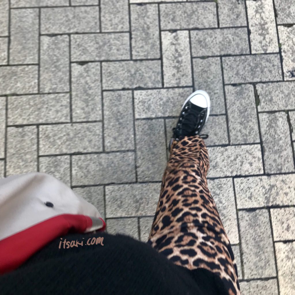 leopard Pants
